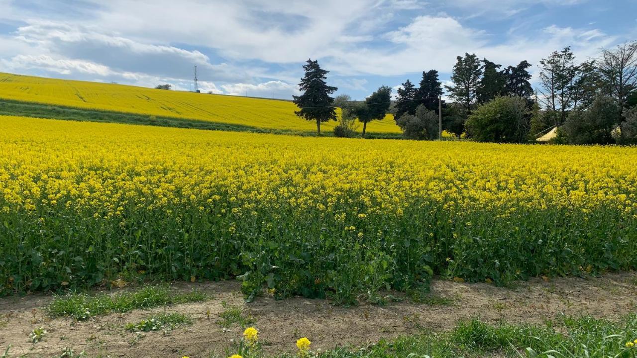 Brezza Affittacamere Montemarciano Buitenkant foto